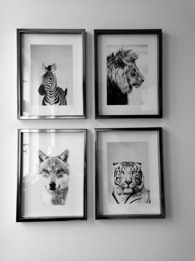 Chambre D 'Hotes Chez Manon Et Hugo Béthune Dış mekan fotoğraf